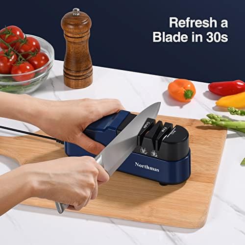 Professional Electric Knife Sharpener for Home Use - 2 Stages Quick Sharpening & Polishing, 100V-240V Global Voltage Des