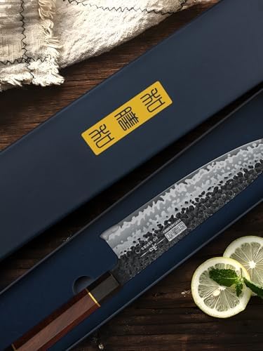 HOSHANHO 8 Inch Japanese Gyuto Chef Knife | High Carbon 10Cr15CoMoV Steel | Ergonomic Rosewood Handle | Professional Coo