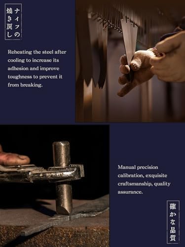 HOSHANHO 8 Inch Japanese Gyuto Chef Knife | High Carbon 10Cr15CoMoV Steel | Ergonomic Rosewood Handle | Professional Coo