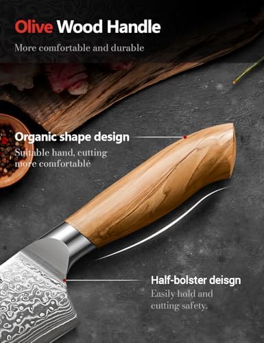 Damascus Chef Knife | 67-Layers Japanese Steel Kitchen Knife | For Home Cooking Enthusiasts | Premium Olive Wood Handle