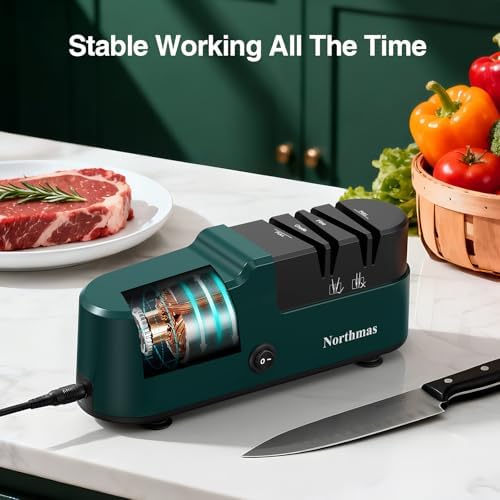 Professional Electric Knife Sharpener for Home Use - 2 Stages Quick Sharpening & Polishing, 100V-240V Global Voltage Des