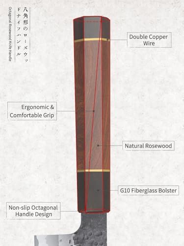 HOSHANHO 8 Inch Japanese Gyuto Chef Knife | High Carbon 10Cr15CoMoV Steel | Ergonomic Rosewood Handle | Professional Coo